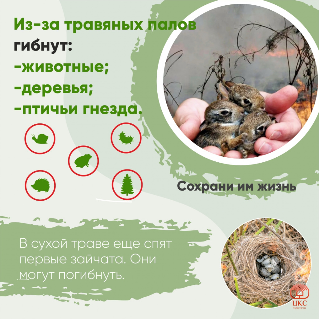 Нет весенним палам - 2.jpg Нет весенним палам - 2.jpg